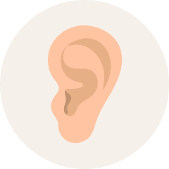 耳の形成